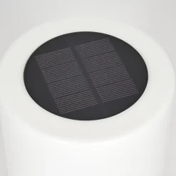 Lampe Solaires Pontaut Led Blanc, 1 Lumiere