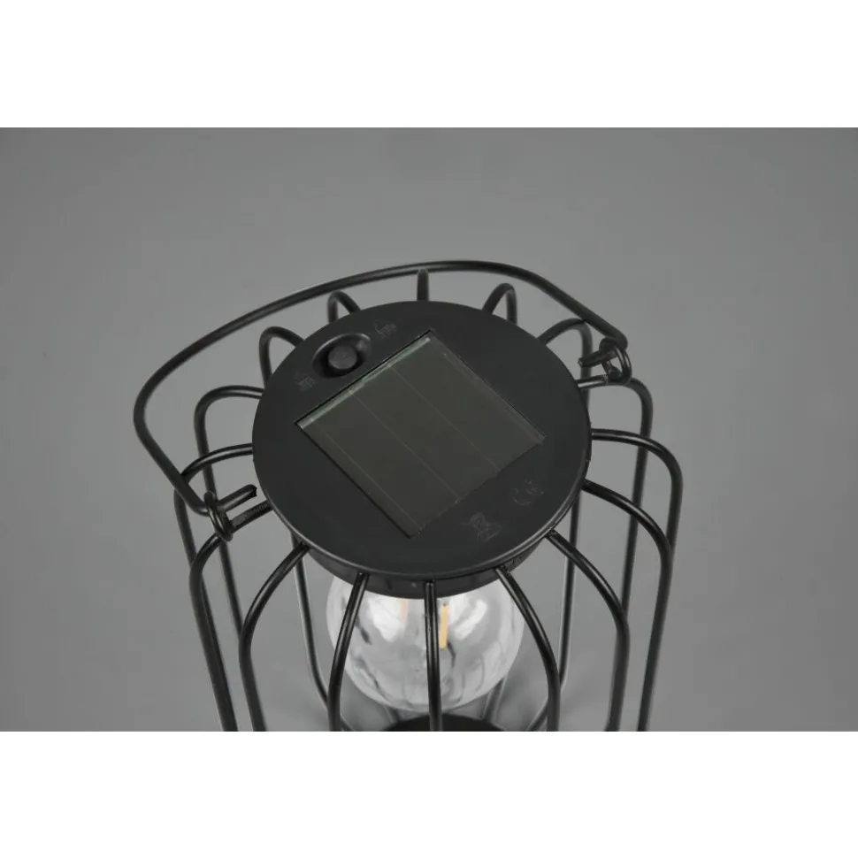 Lampe Solaires Reality Cotoca Led Noir, 1 Lumiere