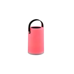 Lampe Solaires Reality Garcia Led Blanc, 1 Lumiere, Changeur De Couleurs