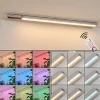 Lampes Pour Bandeauxraivo Led Noir, Argente, 1 Lumiere, Telecommandes, Changeur De Couleurs