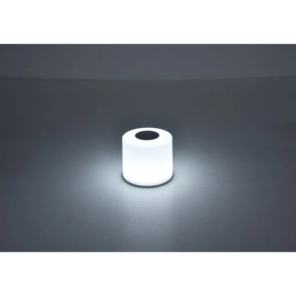 Lot De 2 Lampes Solaires Lutec Noma Led Blanc, 2 Lumieres, Changeur De Couleurs