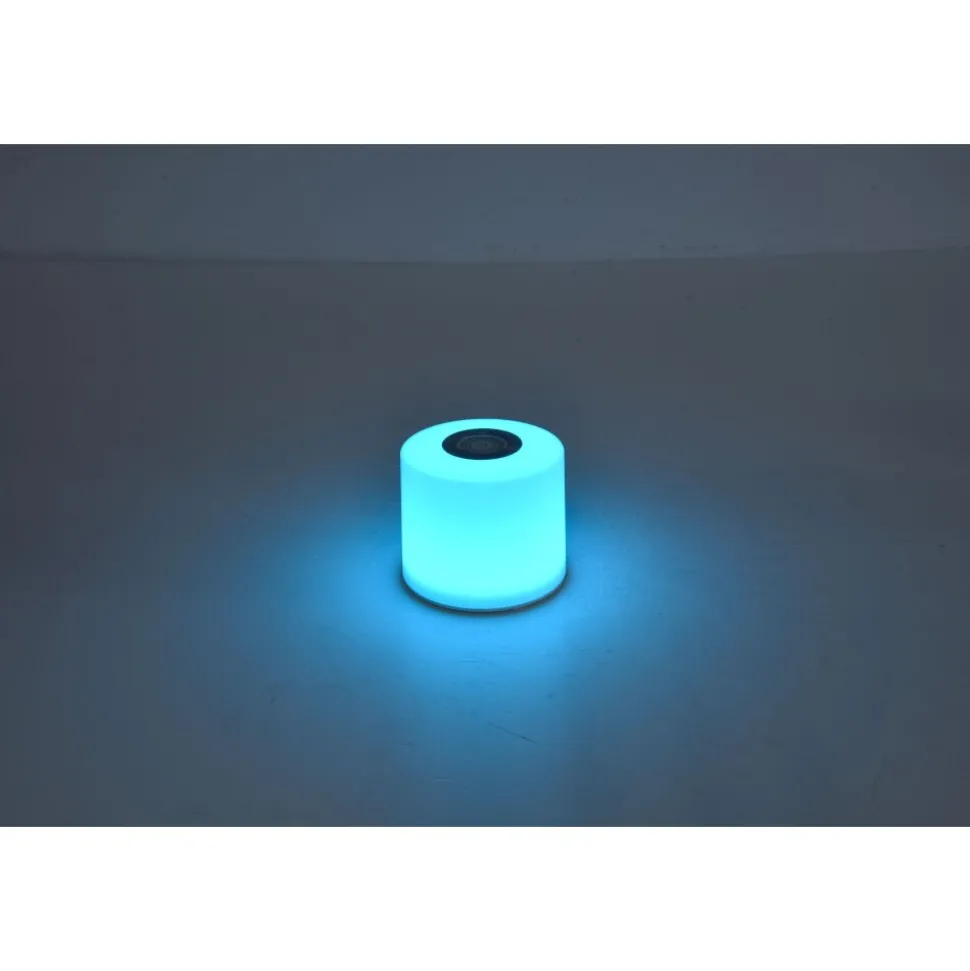 Lot De 2 Lampes Solaires Lutec Noma Led Blanc, 2 Lumieres, Changeur De Couleurs