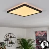 Panneau Led Boyero Noir, 1 Lumiere