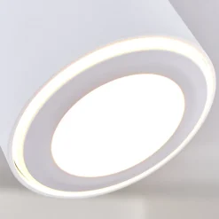 Plafonnier Appleton Led Blanc, 1 Lumiere