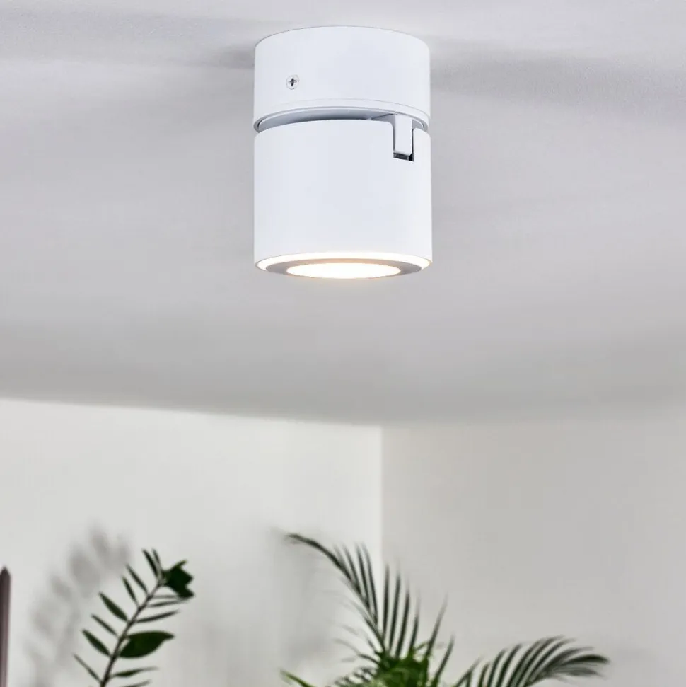 Plafonnier Appleton Led Blanc, 1 Lumiere