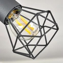 Plafonnier Baripada Chrome, Gris, 2 Lumieres