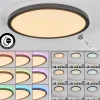 Plafonnier Boyero Led Noir, 2 Lumieres, Telecommandes, Changeur De Couleurs