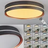 Plafonnier Cachalot Led Cuivre, Noir, 1 Lumiere, Telecommandes, Changeur De Couleurs