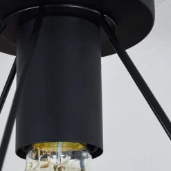 Plafonnier Denno Noir, 1 Lumiere