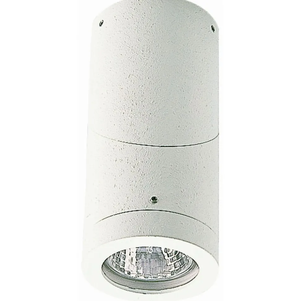 Plafonnier D'Exterieur Albert 2138 Blanc, 1 Lumiere