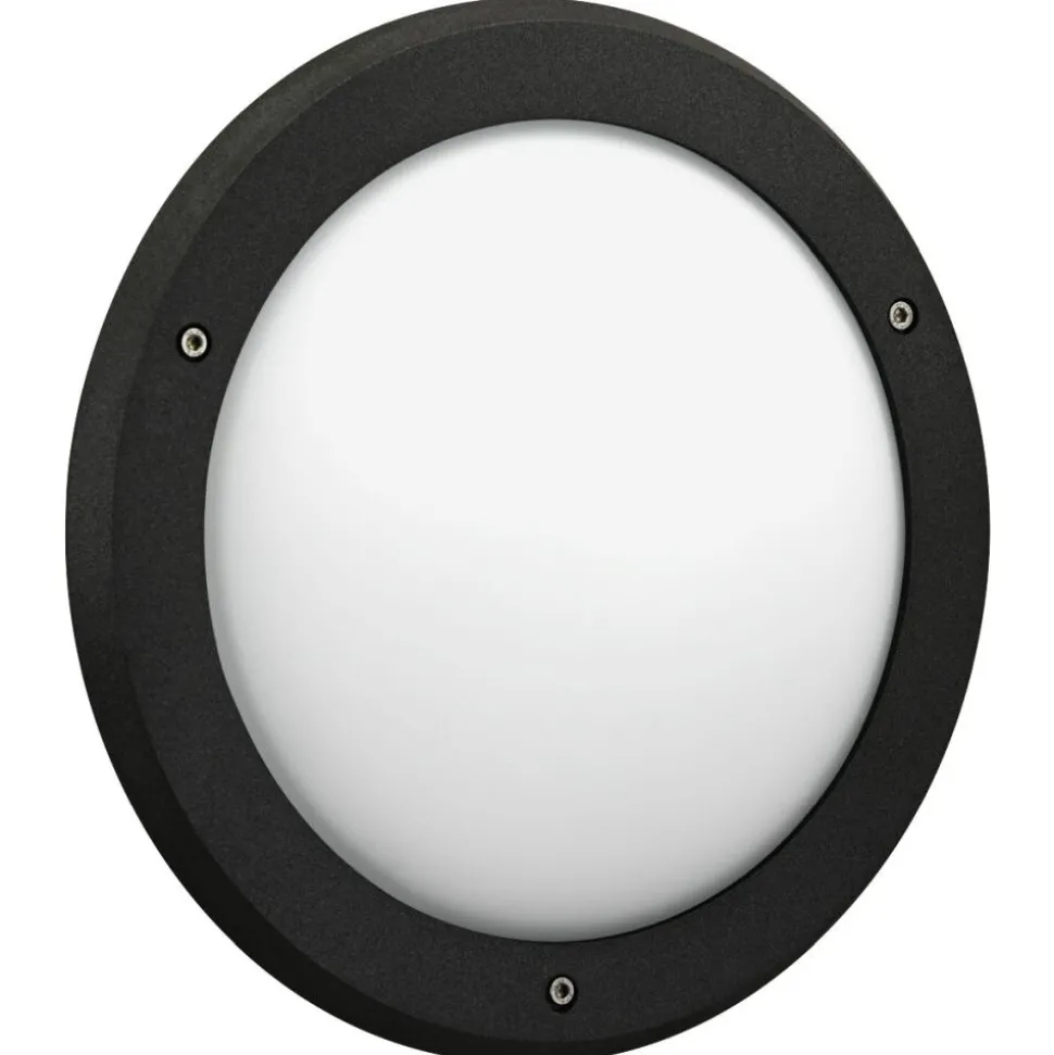 Plafonnier D'Exterieur Albert 6409 Led Noir, 1 Lumiere
