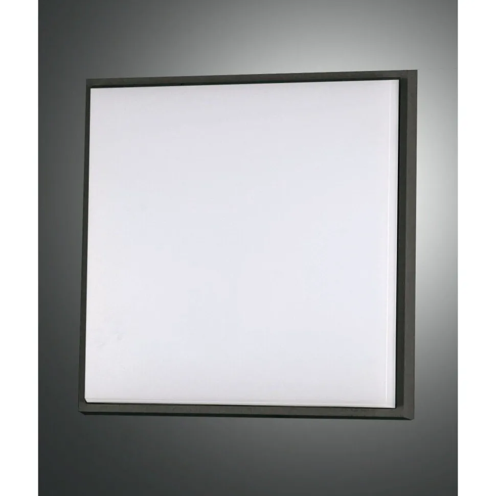 Plafonnier D'Exterieur Fabas Luce Desdy Led Noir, 1 Lumiere