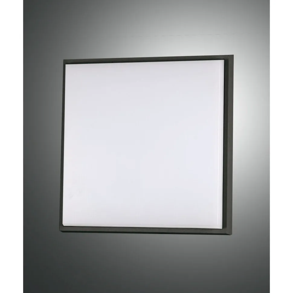 Plafonnier D'Exterieur Fabas Luce Desdy Led Noir, 1 Lumiere