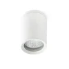 Plafonnier D'Exterieur Faro Barcelona Tasa Blanc, 1 Lumiere
