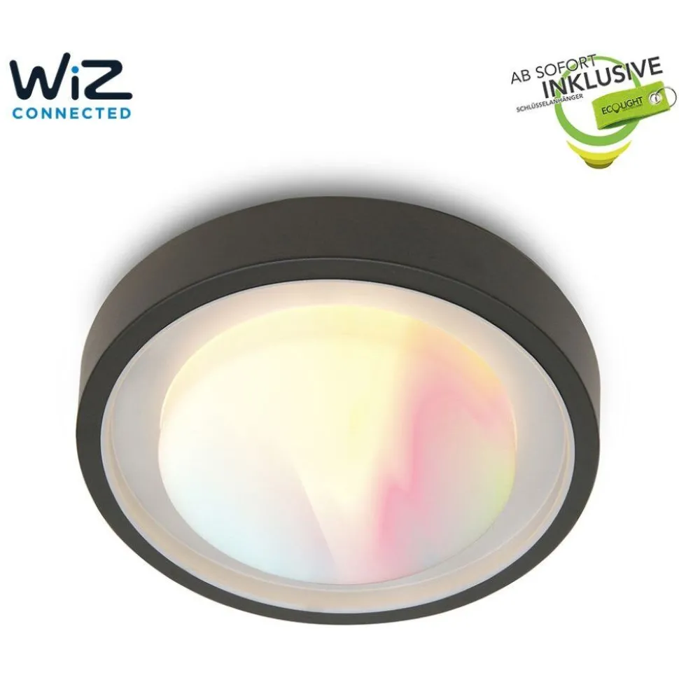Plafonnier D'Exterieur Lutec Origo Led Anthracite, 1 Lumiere, Changeur De Couleurs