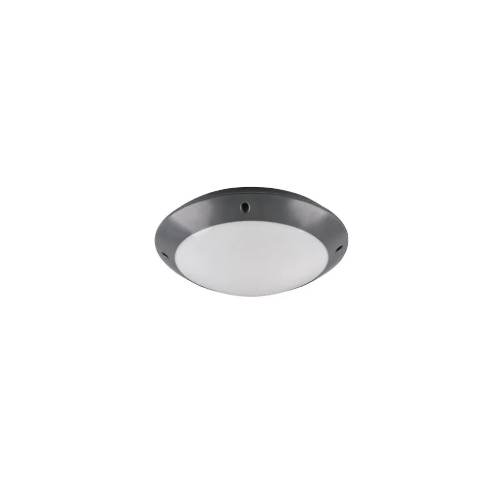 Plafonnier D'Exterieur Reality Camaro Anthracite, 1 Lumiere