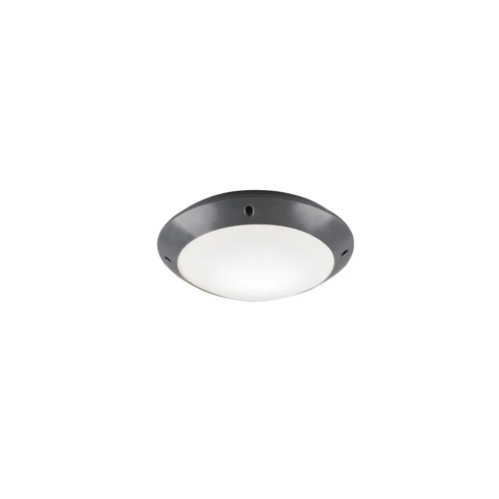 Plafonnier D'Exterieur Reality Camaro Anthracite, 1 Lumiere