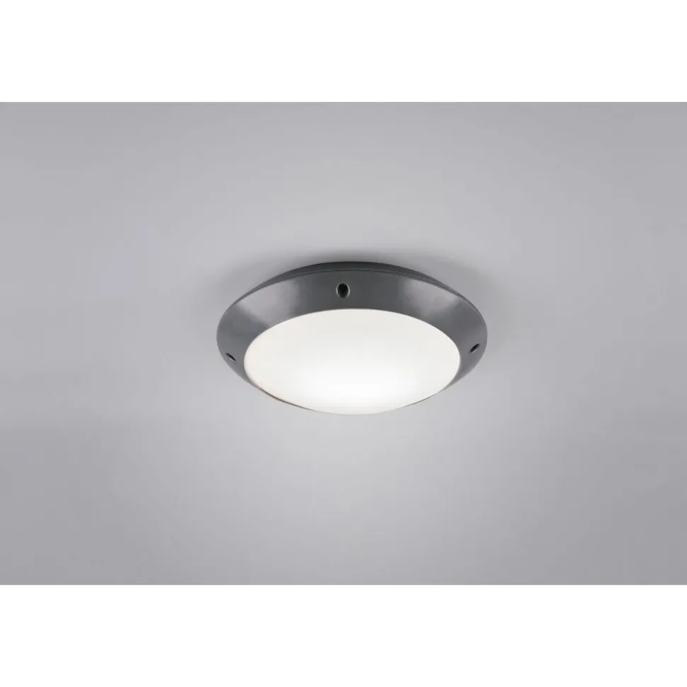 Plafonnier D'Exterieur Reality Camaro Anthracite, 1 Lumiere