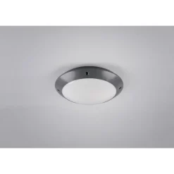 Plafonnier D'Exterieur Reality Camaro Anthracite, 1 Lumiere