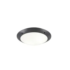 Plafonnier D'Exterieur Reality Camaro Anthracite, 2 Lumieres