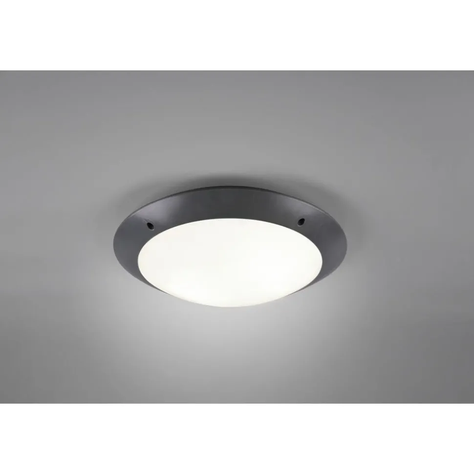 Plafonnier D'Exterieur Reality Camaro Anthracite, 2 Lumieres