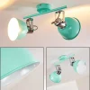 Plafonnier Dompierre Vert, Blanc, 2 Lumieres