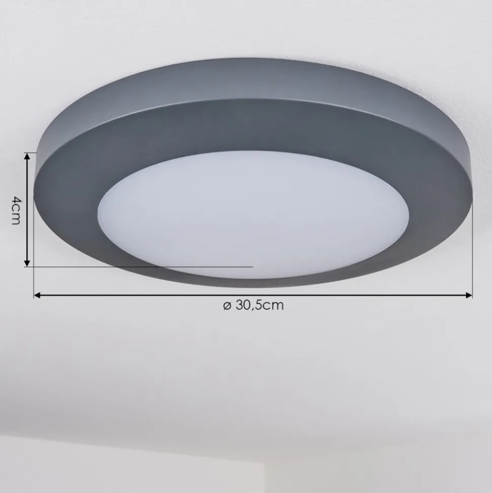 Plafonnier Exterieur Durivier Led Anthracite, 1 Lumiere
