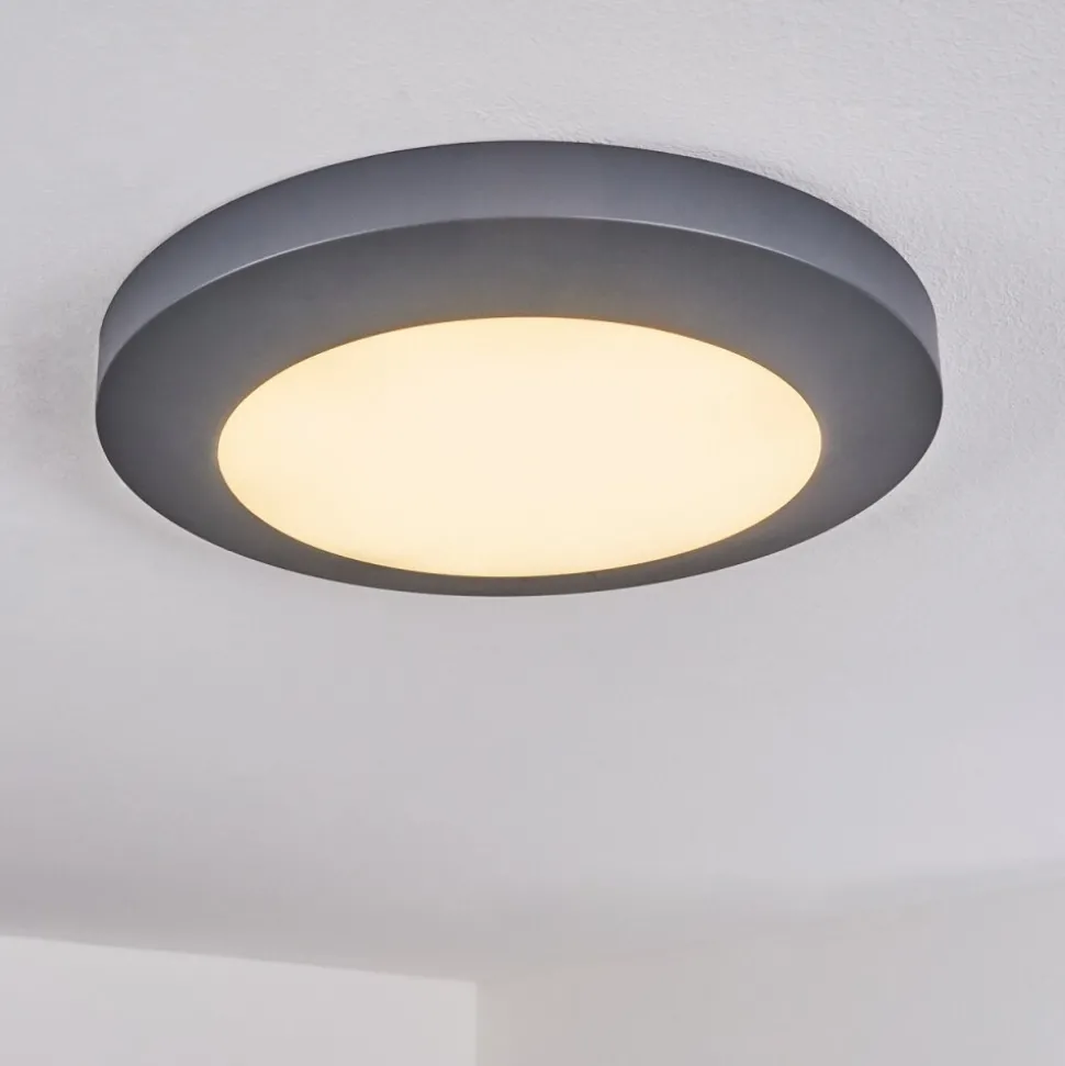Plafonnier Exterieur Durivier Led Anthracite, 1 Lumiere