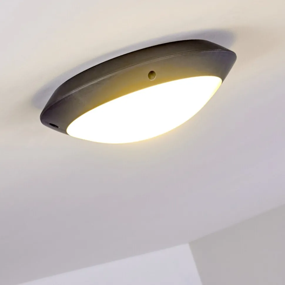 Plafonnier Exterieur Grafton Anthracite, 1 Lumiere