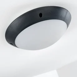 Plafonnier Exterieur Grafton Anthracite, 1 Lumiere