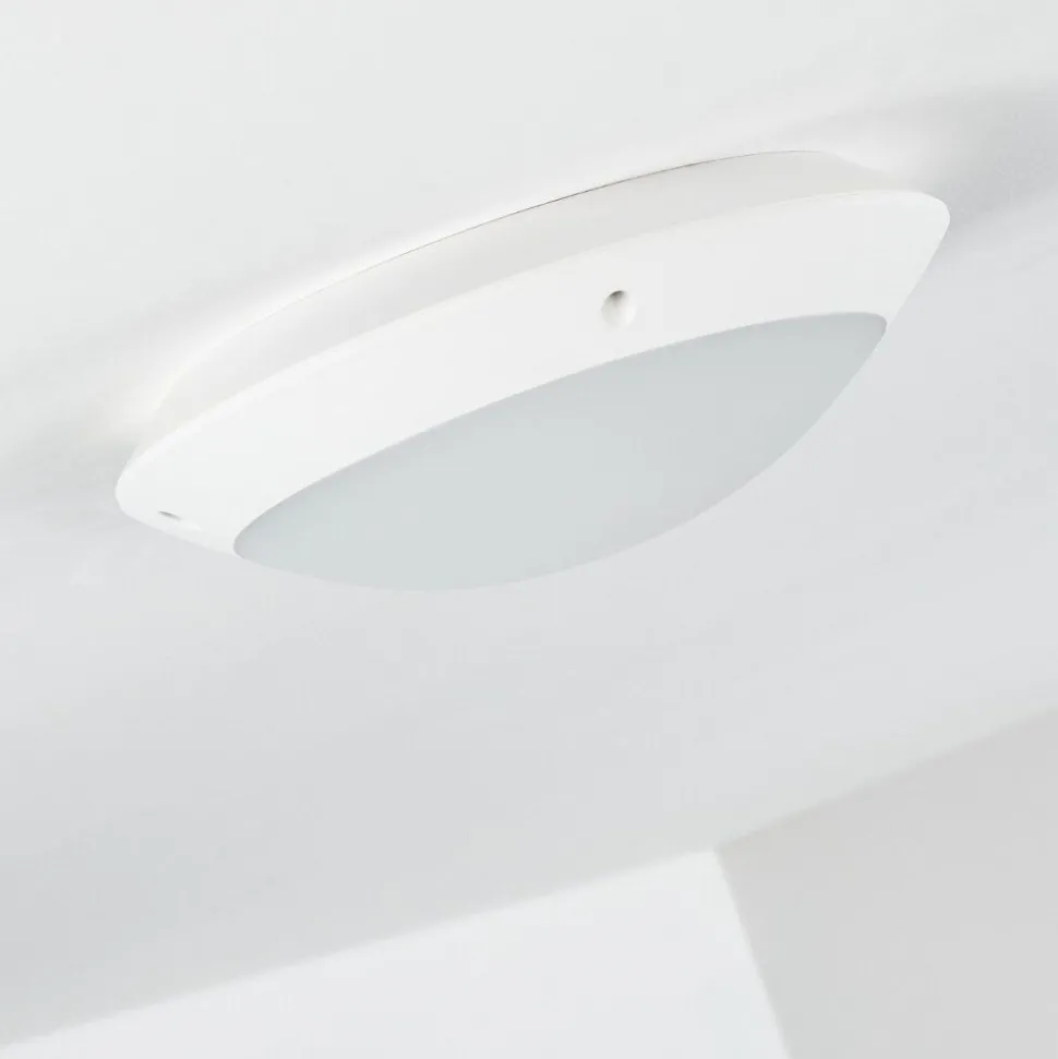Plafonnier Exterieur Grafton Blanc, 1 Lumiere