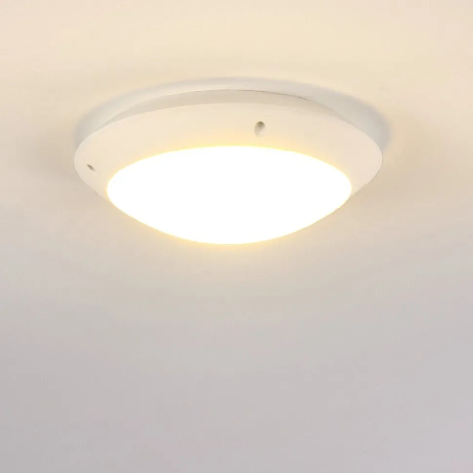 Plafonnier Exterieur Grafton Blanc, 1 Lumiere