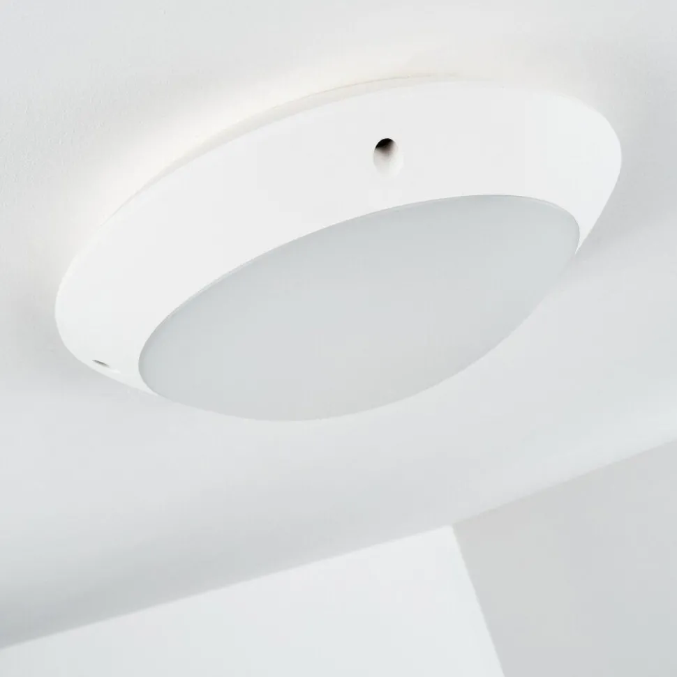 Plafonnier Exterieur Grafton Blanc, 1 Lumiere