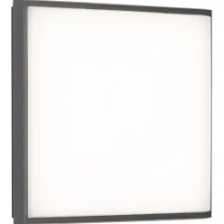 Plafonnier Exterieur Lcd Typ 5061 Led Noir, 1 Lumiere