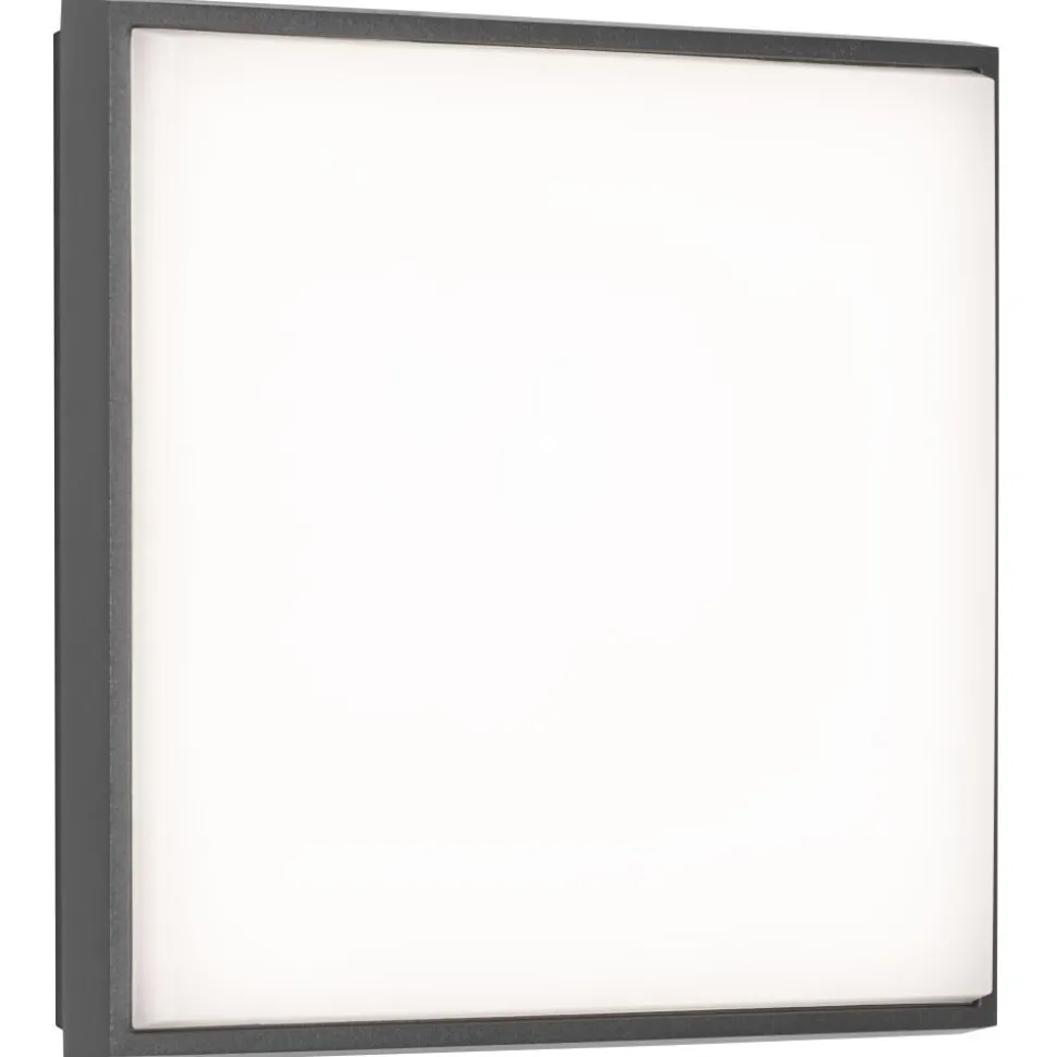 Plafonnier Exterieur Lcd Typ 5061 Led Noir, 1 Lumiere