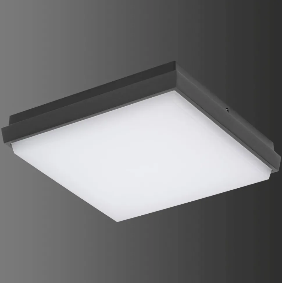 Plafonnier Exterieur Lcd Typ 5061 Led Noir, 1 Lumiere