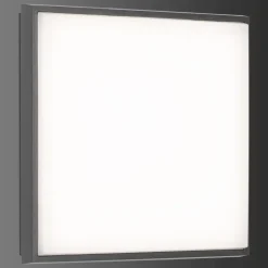 Plafonnier Exterieur Lcd Typ 5061 Led Noir, 1 Lumiere