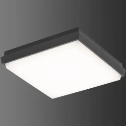 Plafonnier Exterieur Lcd Typ 5061 Led Noir, 1 Lumiere