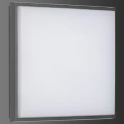 Plafonnier Exterieur Lcd Typ 5060 Led Noir, 1 Lumiere