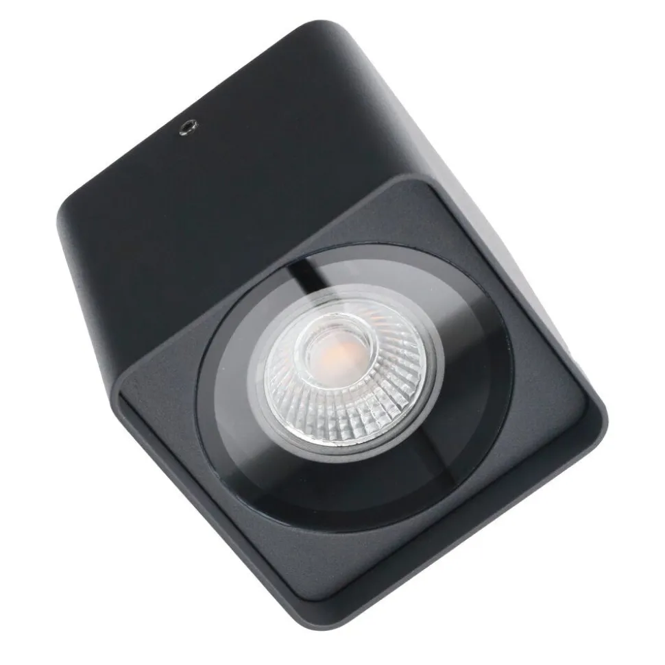Plafonnier Exterieur Lcd Falshorn Gris, 1 Lumiere