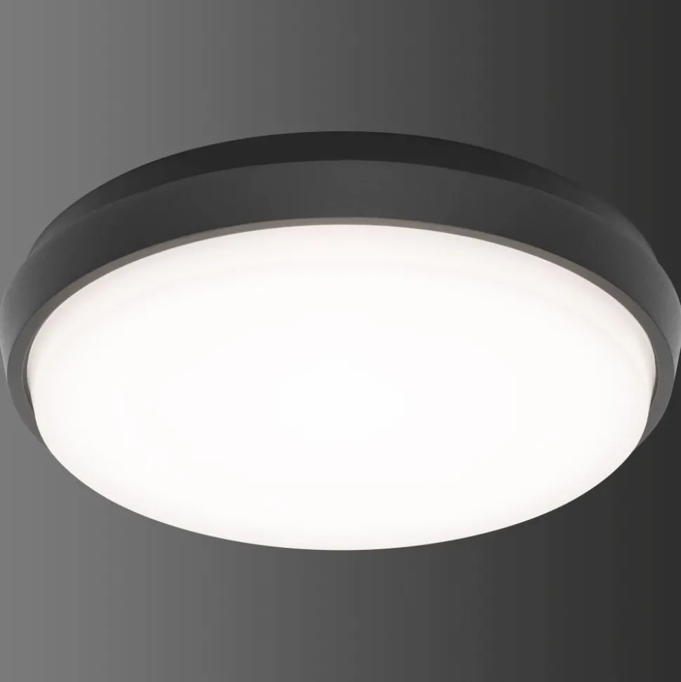 Plafonnier Exterieur Lcd Typ 5066 Led Noir, 1 Lumiere