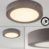 Plafonnier Exterieur Leto Led Anthracite, 1 Lumiere