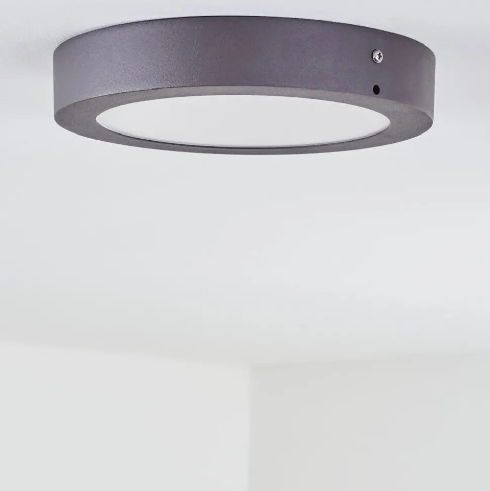Plafonnier Exterieur Leto Led Anthracite, 1 Lumiere