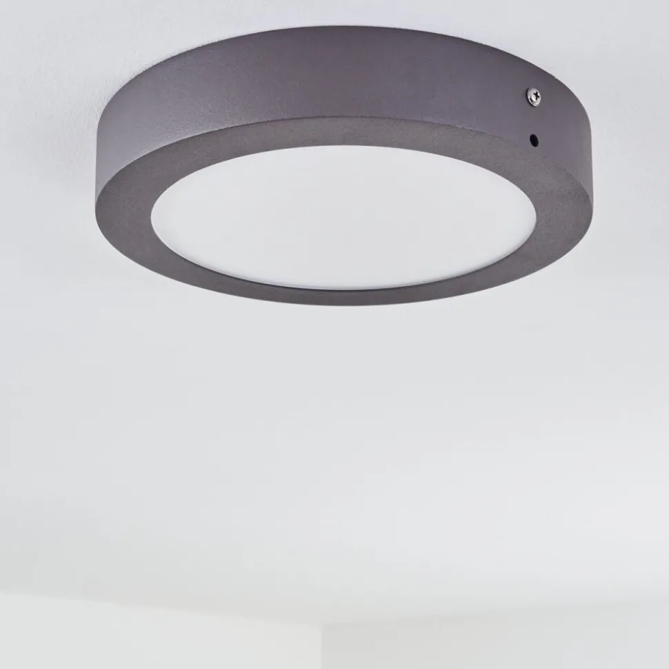 Plafonnier Exterieur Leto Led Anthracite, 1 Lumiere
