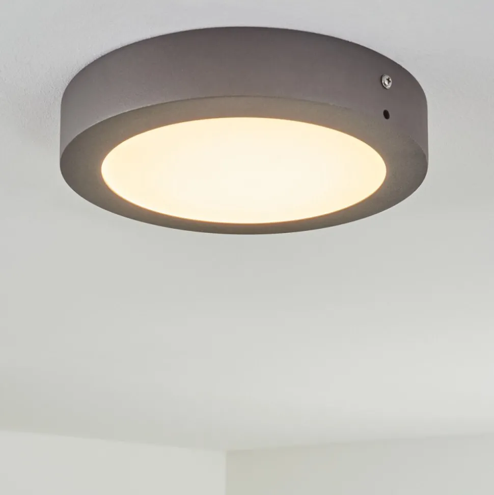 Plafonnier Exterieur Leto Led Anthracite, 1 Lumiere