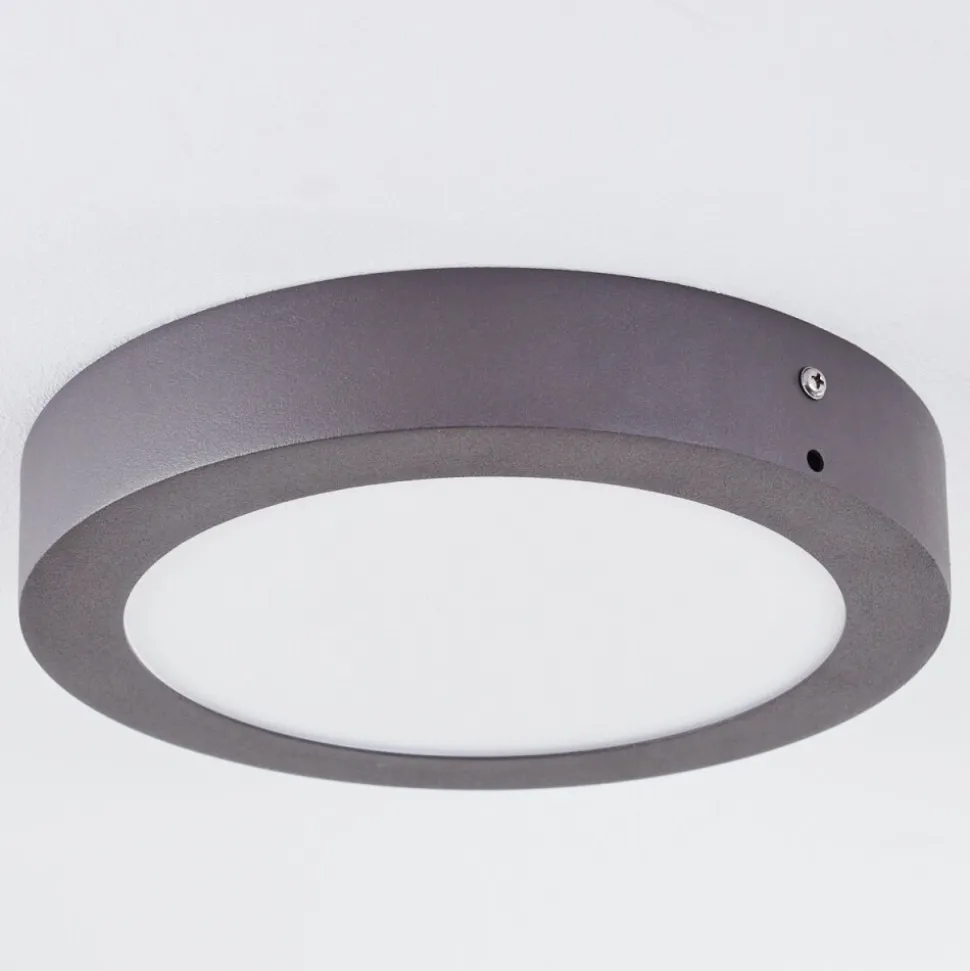 Plafonnier Exterieur Leto Led Anthracite, 1 Lumiere