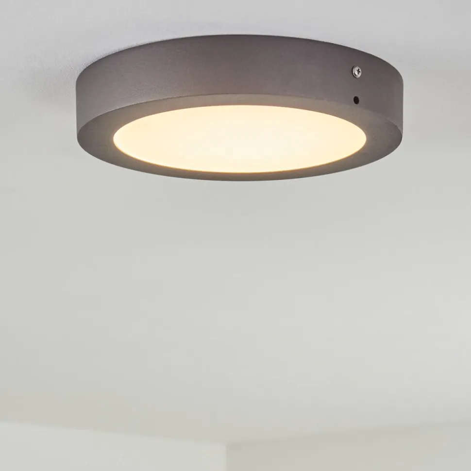 Plafonnier Exterieur Leto Led Anthracite, 1 Lumiere