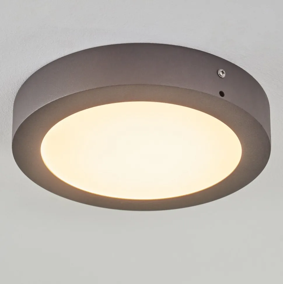 Plafonnier Exterieur Leto Led Anthracite, 1 Lumiere