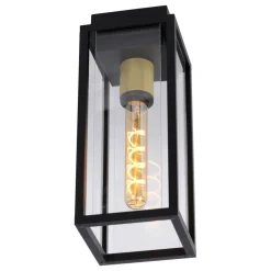 Plafonnier Exterieur Lucide Laurens Noir, 1 Lumiere