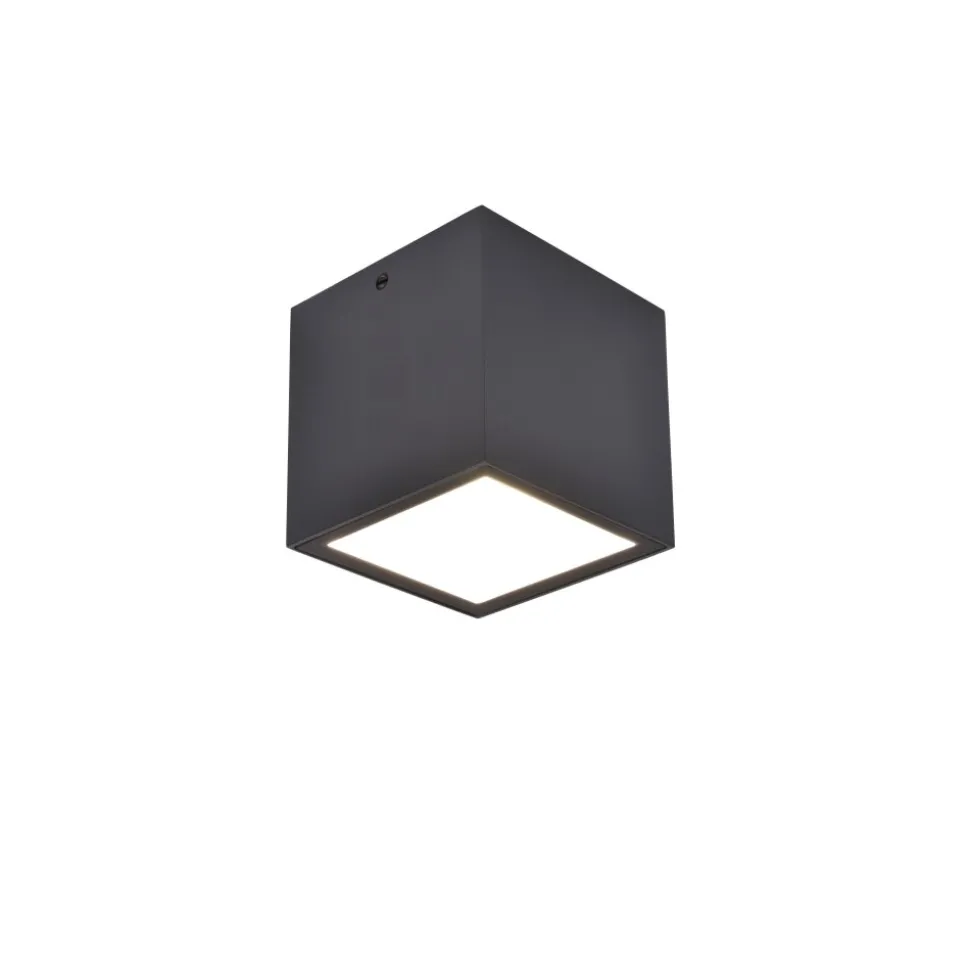 Plafonnier Exterieur Lutec Gemini Led Anthracite, 1 Lumiere